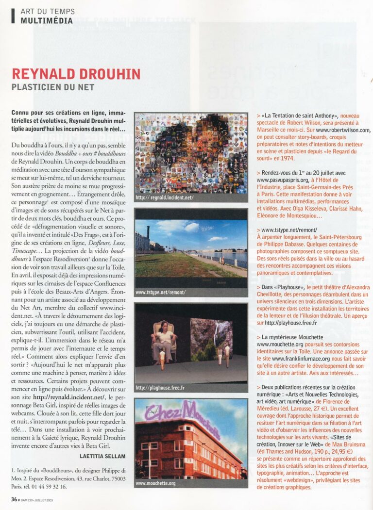Reynald Drouhin – Plasticien du net : Beaux Arts 230