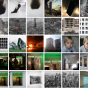 Image archive