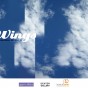Wings, art auction in the air