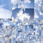 Forecast / Anne de Vries