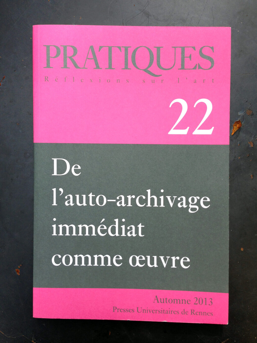 Pratiques n°22 : De l&rsquo;auto-archivage immédiat comme oeuvre