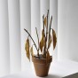 Dead plastic plant / Julien Berthier