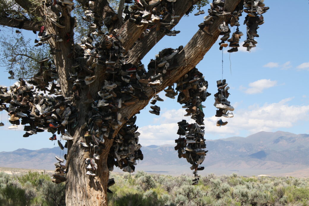 Shoes tree