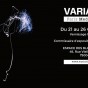 Variation Paris Media Art Fair 2014