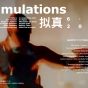 simulations 拟真