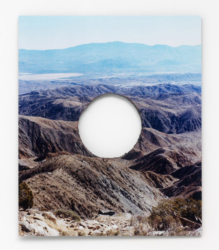 Joshua Tree Steel Cut / Letha Wilson
