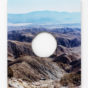 Joshua Tree Steel Cut / Letha Wilson